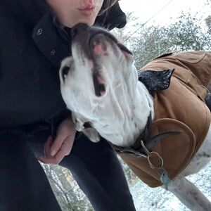 Meet your Posher, Krysten